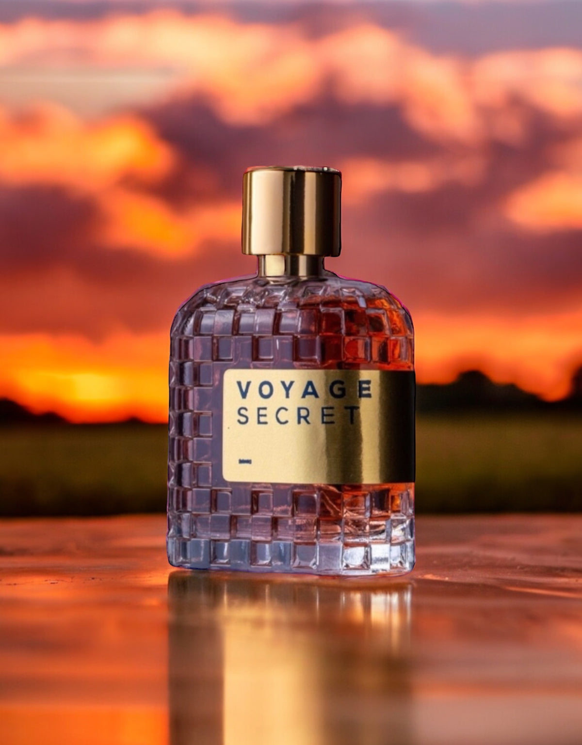 VOYAGE SECRET 100ml